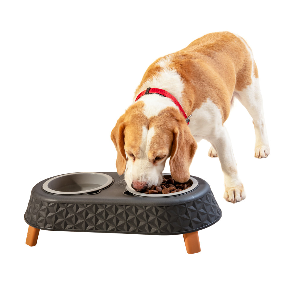 Pet Furniture – Starplast